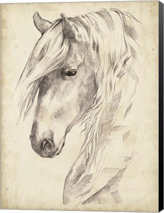 Framed Horse Portrait Sketch II Print