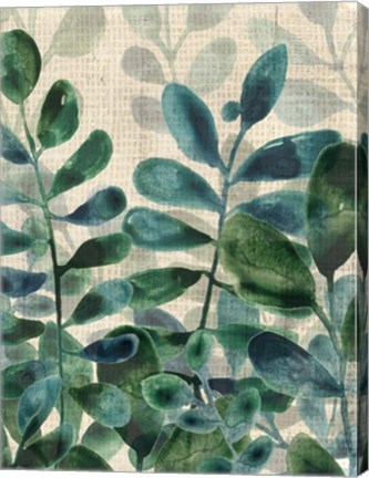 Framed Verdant Sophistication III Print