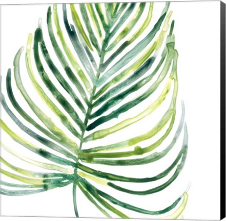 Framed Tropical Jewel IX Print