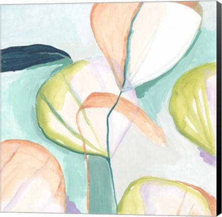 Framed Fan Flowers III Print