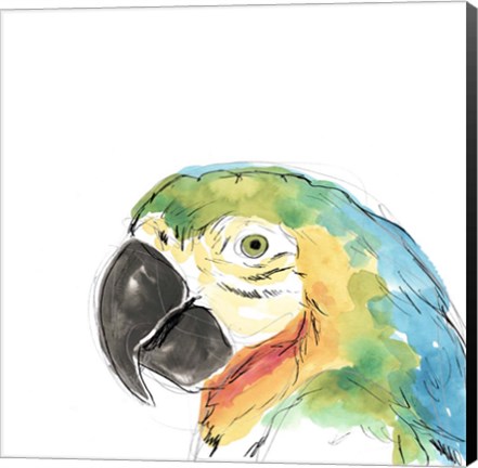 Framed Tropical Bird Portrait I Print