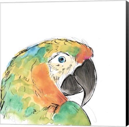Framed Tropical Bird Portrait IV Print