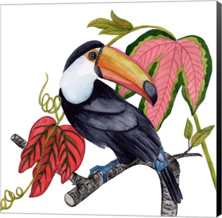 Framed Toco Toucan I Print