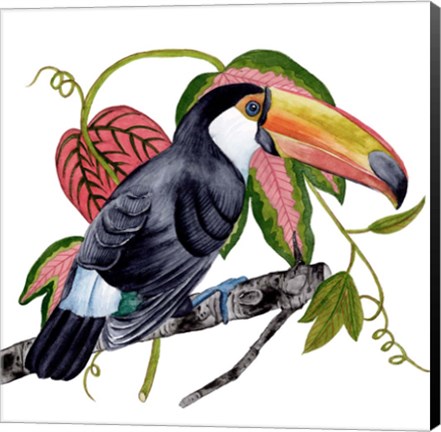 Framed Toco Toucan II Print