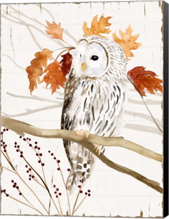 Framed Harvest Owl II Print