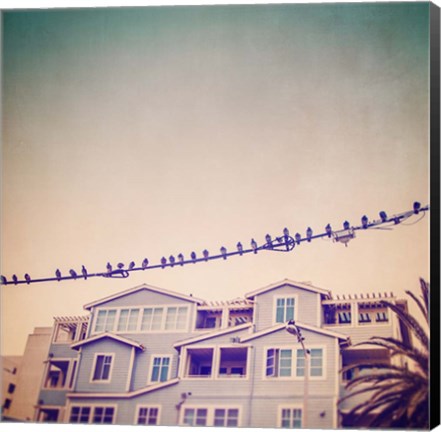 Framed Birds on Wires I Print