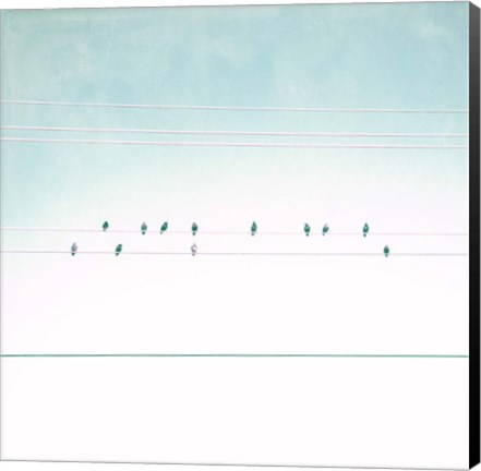 Framed Birds on Wires IV Print