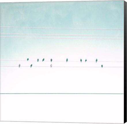 Framed Birds on Wires IV Print