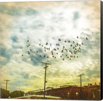 Framed Birds on Wires V Print