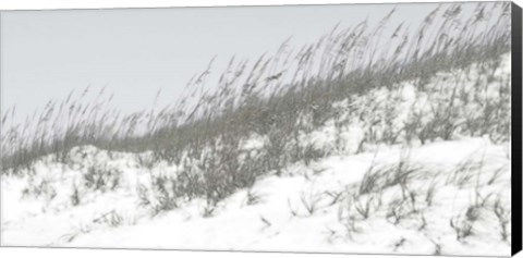 Framed Lush Dunes I Print