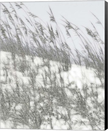 Framed Lush Dunes III Print