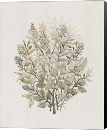 Framed Leaf Arrangement II Print