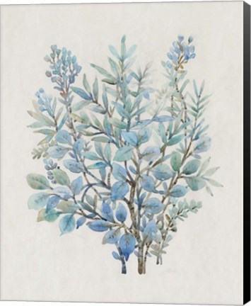 Framed Leaf Arrangement III Print