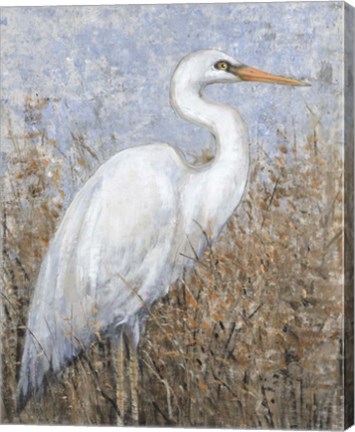 Framed White Heron I Print