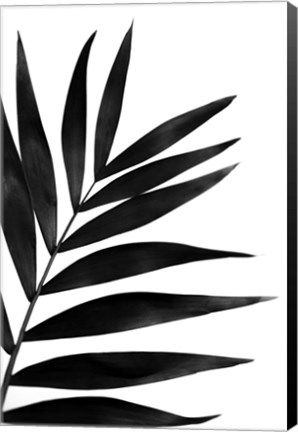 Framed Black Palms I Print