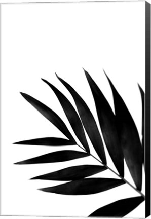 Framed Black Palms II Print