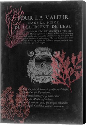 Framed Pour La Mer II Print