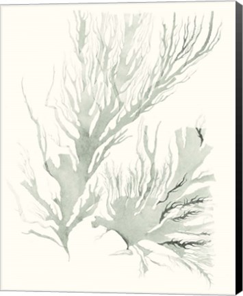 Framed Sage Green Seaweed IV Print