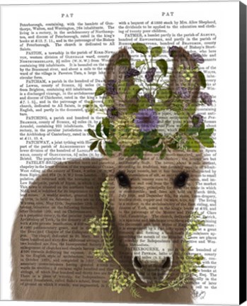 Framed Donkey Bohemian 2 Book Print Print