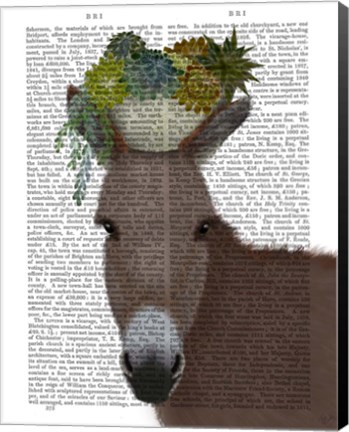 Framed Donkey Succulent Book Print Print