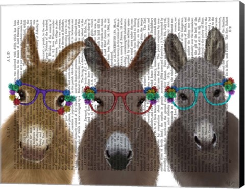 Framed Donkey Trio Flower Glasses Book Print Print