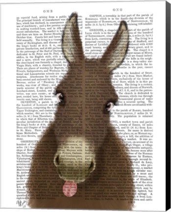 Framed Funny Farm Donkey 1 Book Print Print