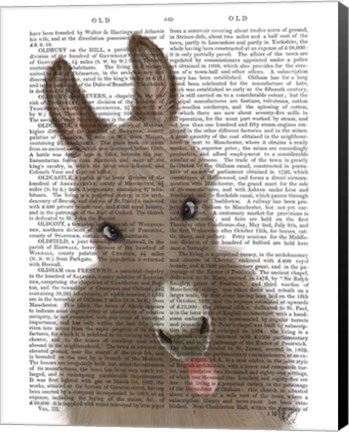 Framed Funny Farm Donkey 2 Book Print Print