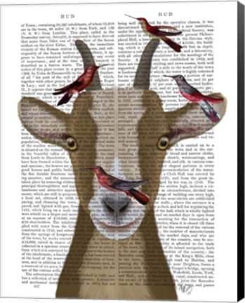 Framed Goat and Red Birds Book Print Print