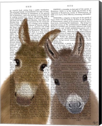 Framed Donkey Duo, Looking at You Book Print Print