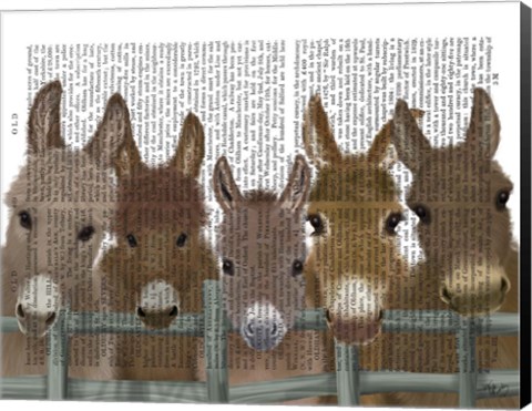 Framed Donkey Herd at Fence Book Print Print