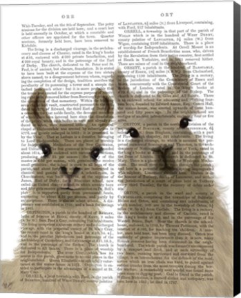 Framed Llama Duo, Looking at You Book Print Print