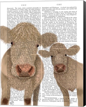 Framed Cow Duo, Cream, Looking at You Book Print Print