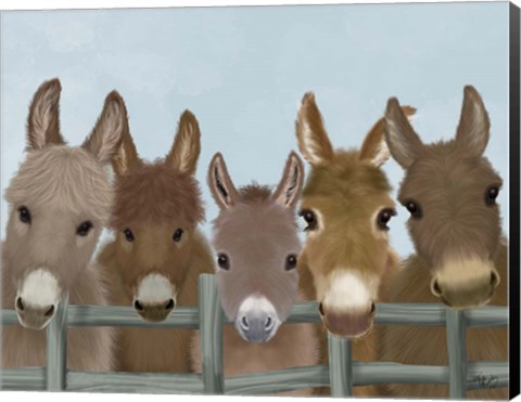 Framed Donkey Herd at Fence Print