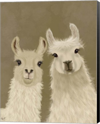 Framed Llama Duo, Looking at You Print