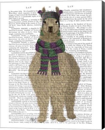 Framed Llama with Purple Scarf, Full Book Print Print