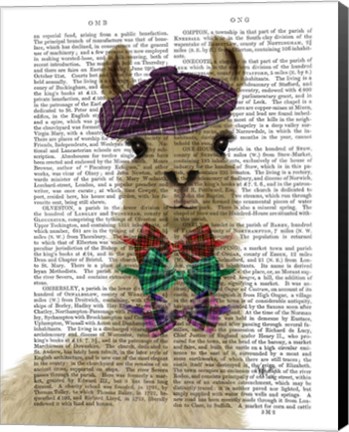 Framed Llama Dapper Book Print Print