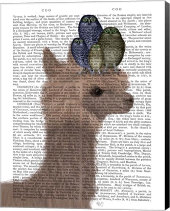 Framed Llama Owls, Portrait Book Print Print