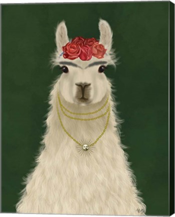 Framed Llama F Print