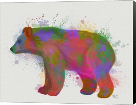 Framed Bear Rainbow Splash 2 Print