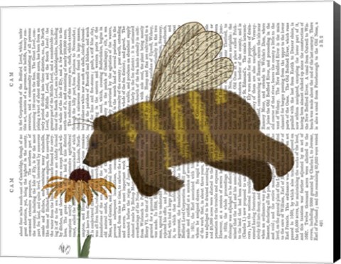 Framed Bear Bee Book Print Print