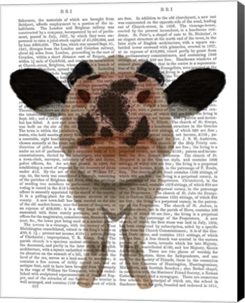 Framed Nosey Cow 1 Book Print Print