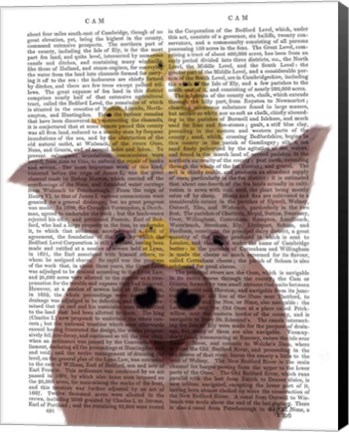 Framed Pig and Ducklings Book Print Print