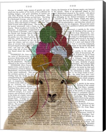 Framed Sheep with Wool Hat, Portrait Book Print Print