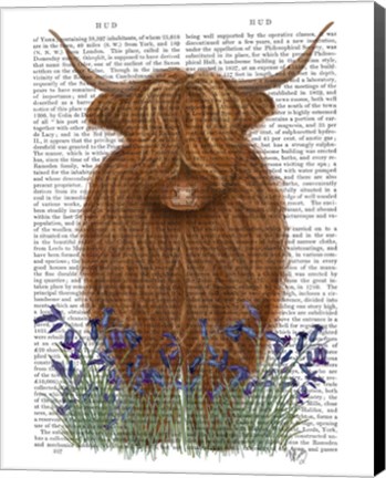 Framed Highland Cow, Bluebell Book Print Print