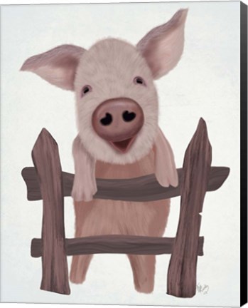 Framed Pig On Fence Print