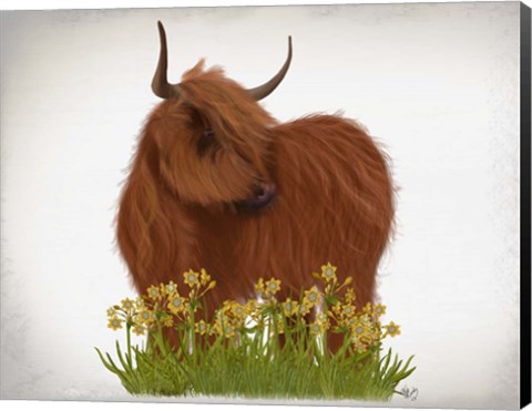 Framed Highland Cow, Daffodil Print