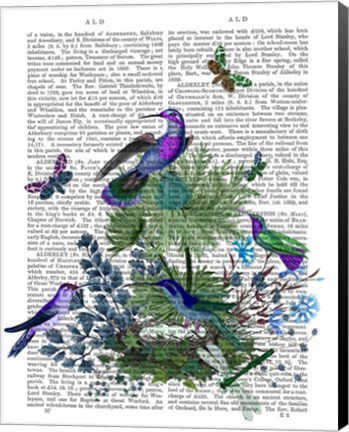 Framed Tropical Birds Nest 1 Book Print Print