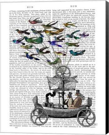 Framed Bird Boat Book Print Print