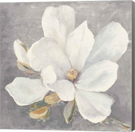 Framed Serene Magnolia Light Gray Print