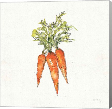 Framed Veggie Market V Carrots Print